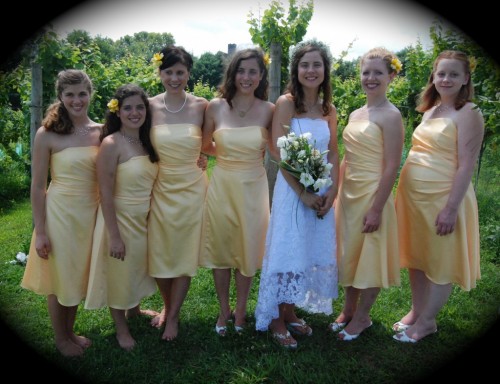 bridal party at wedding bridal party at wedding