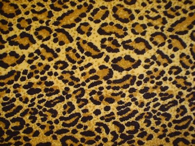 Leopard Print