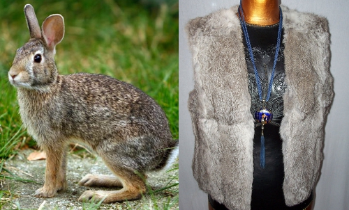 vintage rabbit fur