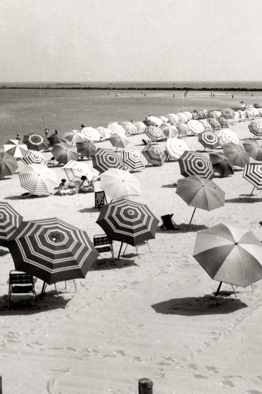 umbrellas on a beach in the 1950s