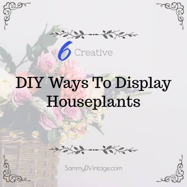 6 Creative DIY Ways To Display Houseplants 19