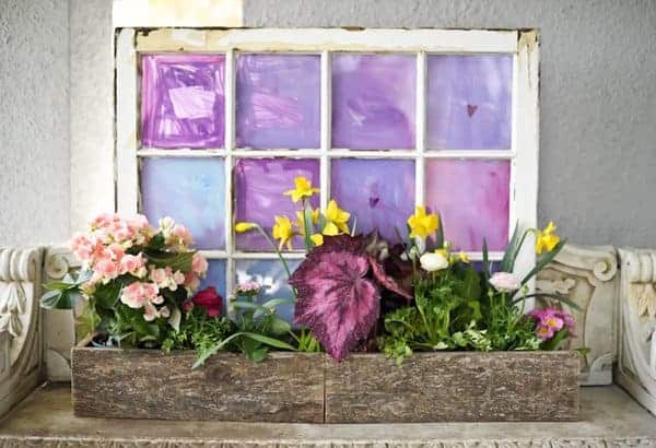 6 Creative DIY Ways To Display Houseplants