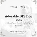 Adorable DIY Dog Beds to Keep Your Pup Comfy (On a Budget)