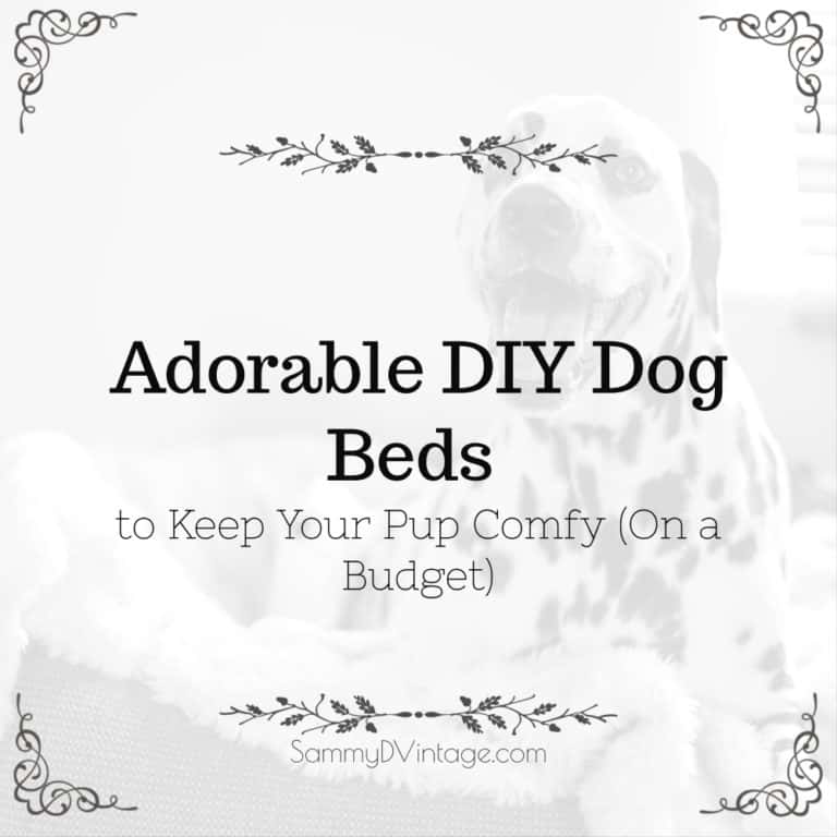 Adorable DIY Dog Beds to Keep Your Pup Comfy (On a Budget) 7