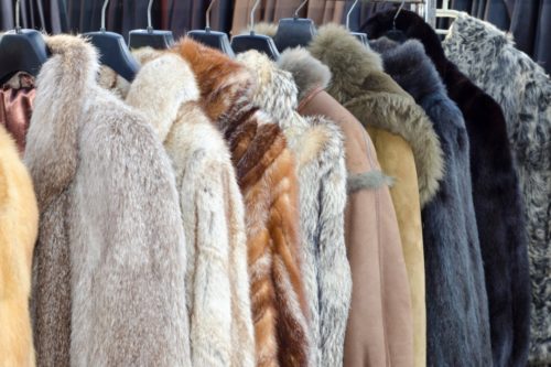 How Much Does a Mink Fur Coat Cost? 19