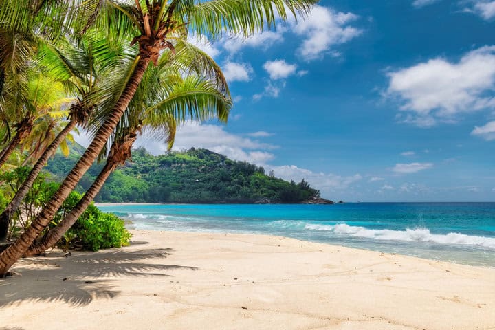 Beautiful beach with palms and turquoise sea in Jamaica island.