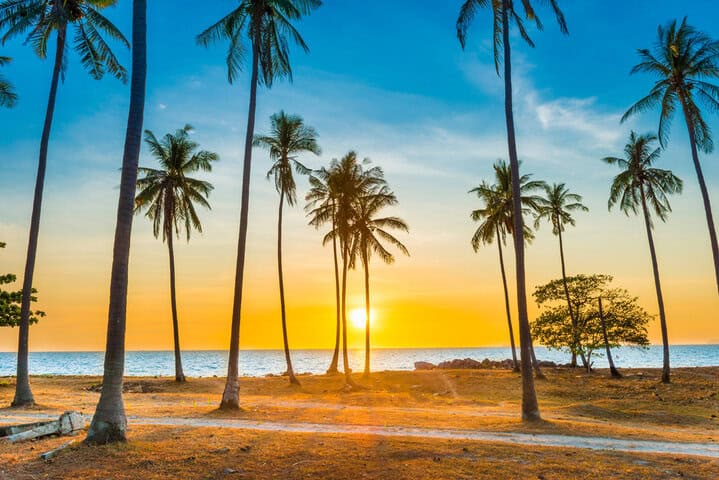 Sunset with palm trees on beach, landscape of palms on sea tropical island