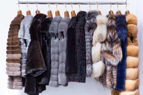 Inherited an Old Fur Coat? Here's What You Can Do 111